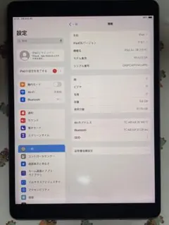 iPad Air（第3世代）Wi-Fi スペースグレー