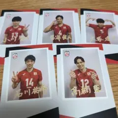 ステッカーセット　石川祐希　高橋藍　宮浦健人　大塚達宣　小川智大　バレーボール