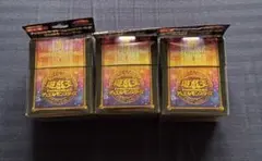 デュエリストカードケース＆プロテクターセット ブラックマジシャン・ガールスリーブ