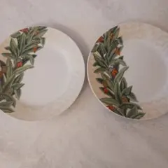 Wedgwood 皿 2枚セット ボタニカル柄のサムネイル