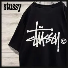 【即完売モデル】ステューシー　8ボール　ビッグロゴTシャツ　ヴィーナス. 即完売モデル】ステューシー 8ボール ビッグロゴTシャツ ヴィーナス