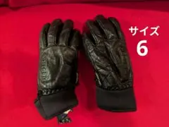 2026年最新】HESTRA スキー・スノーボードアクセサリー グローブの人気