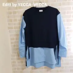 Editt シャツレイヤードデザインニットのサムネイル