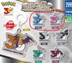 ポケモン 30周年 メタルチャームマスコット 2点セット
