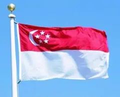 シンガポール 国旗 フラッグ 応援 送料無料 150cm 旗 flag サッカー