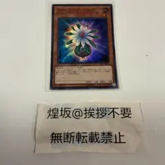 EU版 グローアップ・バルブ 1st 深堀個体 レリーフ 遊戯王 海外 英語 米 遊戯王 グローアップバルブ 英語 1st レリーフ - メルカリ