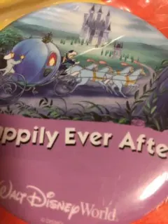 ウォルトディズニーワールド缶バッチ