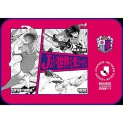 【新品・未使用】熱狂開幕ブランケット Jリーグ記念　セレッソ大阪