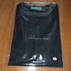 [Alexandros] Starrrrrrr Tシャツ Lサイズ Alexandros] Starrrrrrr Tシャツ gray/Lサイズ - メルカリ