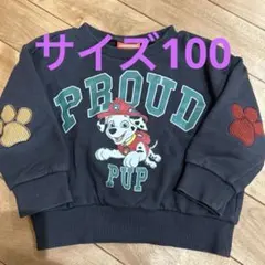 Nickelodeon Paw Patrol トレーナー 100