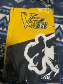 Item thumbnail for item fcd6b26a-2e90-43b6-96a6-a173d1ccabd8