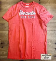 Tシャツ 古着 00s Abercrombie & Fitch アバクロ 美品