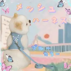 【たまちゃん様限定】メッシュハーネス 青　リード付き 小型犬 猫 小動物 S