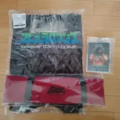 2025年最新】perfume ネビュラロマンス vipの人気アイテム - メルカリ