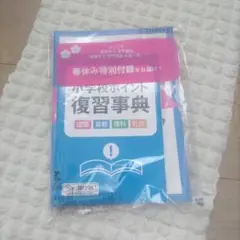 東京書籍 英語 小学6年 こたえ・てびきシート ぶんけい - メルカリ