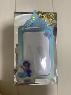 シークレットカードホルダー ディズニープリンセス ジャスミン