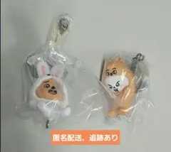 SKZOO つまんでつなげてますこっと vol.2 リノ　ハン　味噌