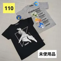 【110cm】ポケモン 半袖 Tシャツ 2枚 ソウブレイズ キッズ 夏 子供服
