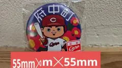 府中町　カープ　ご当地缶バッジ　市町村シリーズ