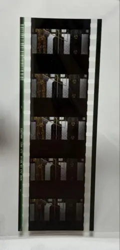 ワス　ワルプルギスの廻天　映画　入場者 特典　6弾　まどマギ　フィルム