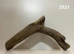 Item thumbnail for item a4dc5634-5c5f-4367-8afc-6f40af849f78