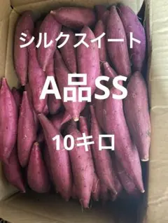 専用シルクスイート 20kg(箱込) SS(約50g～100g) 茨城県産 シルクスイート 20kg(箱込) SS(約50g～100g) 茨城県産 - メルカリ