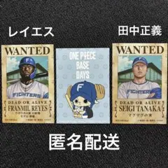 レイエス　田中正義　ワンピースステッカー　北海道日本ハムファイターズ　エスコン