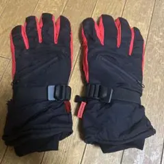 ブラックとレッドのスキーグローブ