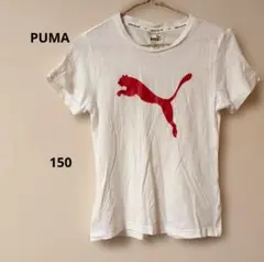 Puma ホワイト Tシャツ フロントPUMAマークプリント シンプル150