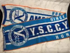 Item thumbnail for item 00849f49-78c4-41b1-ae84-d6df5e11407a