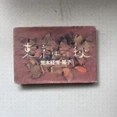 Item thumbnail for item 5bfaed27-5148-402d-b733-e88adac19fb6