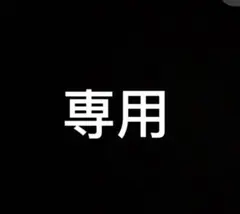 専用出品