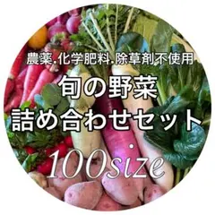 農薬＊化学肥料＊除草剤不使用　早朝採れたての旬のお野菜セット　100sizeのサムネイル