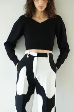 CLANE クラネ　V NECK SHORT KNIT TOPS サイズ1のサムネイル