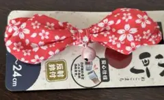 Item thumbnail for item aaabb2de-a2e4-43c0-906a-a7fb34fc46f9