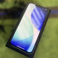 iPhone 13Pro Max アルパイングリーン 256 GB