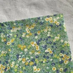 リバティ タナローン ホビーラ　ウィルトシャー　グリーン