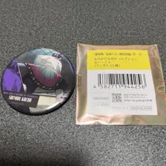 鬼滅の刃　無限城編　ものがたる背中　コレクション缶バッジA 胡蝶しのぶ