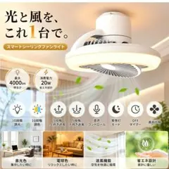 シーリングファンライト 自動回転 Alexa対応 8～10畳のサムネイル