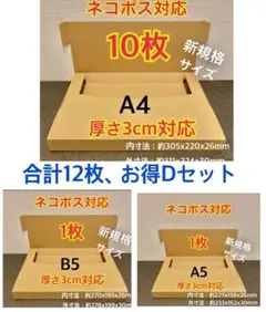 ○ ○新商品【10枚】新規格A4サイズ(最大)ネコポス対応段ボール箱