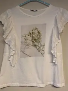ZARAレースフリル Tシャツ