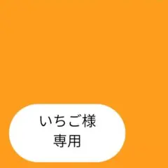 いちご様専用ページです