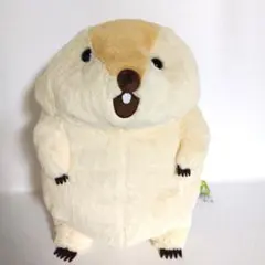 2025年最新】マーモット ぬいぐるみ ウルトラの人気アイテム - メルカリ