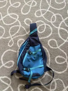 【希少】Patagonia Atom Sling 8L Bag blue y2k
