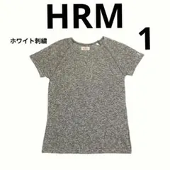廃盤カラー ハリウッドランチマーケット ストレッチフライス Tシャツ スラブのサムネイル