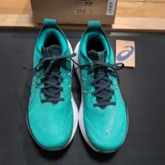 アシックス asics GEL-NIMBUS 27 27.5cm