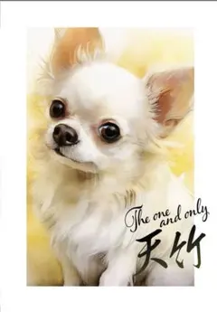 2週間限定値下げペット似顔絵作成　ご希望の方はコメントへ　複数匹も承ります