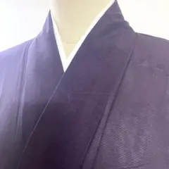 5k1857 着物　正絹　夏物　薄物　絽　一つ紋　家紋　紫　無地　和装