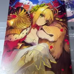 ②FGO 最終再臨画集Ⅰ アルトリア〔リリィ〕 ネロ・クラウディウス