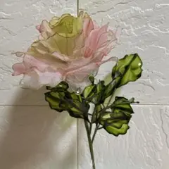 ローズ薔薇の園(ピンクパンサー！)
